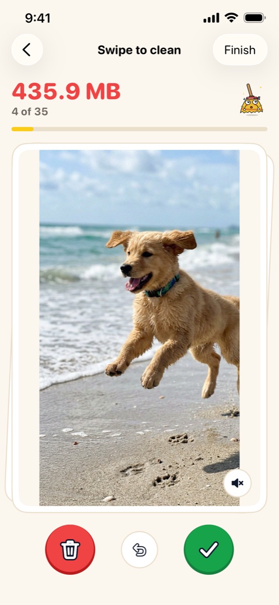 Swipe to clean: one photo of a dog on the beach with delete and keep buttons