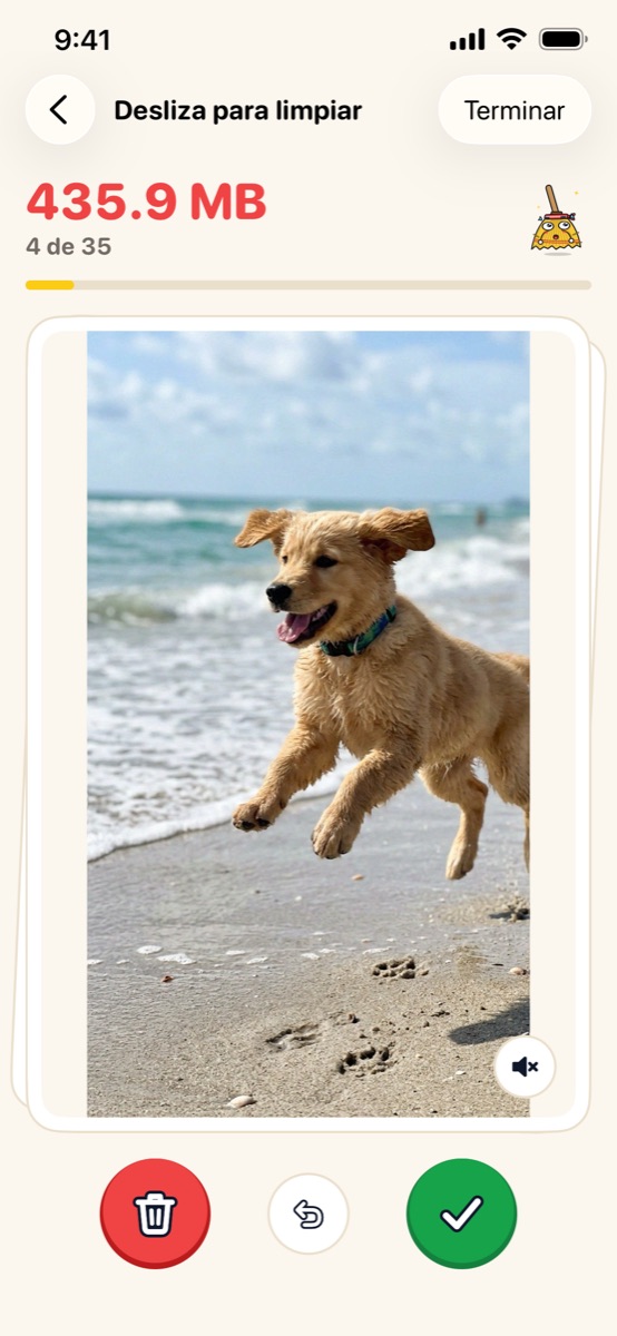 Desliza para limpiar: la foto de un perro en la playa con botones para borrar y conservar